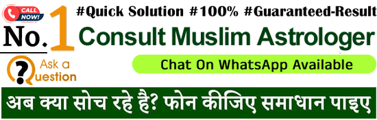 Astrologer Bismillah Ali Khan +91-8420861176